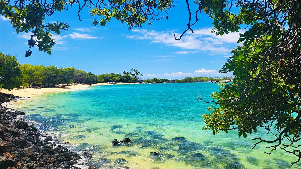 beach with bright blue water and rocks, white sand, plants on shoreline on a sunny day at Makalawena Beach in Big Island, Hawaii, USA